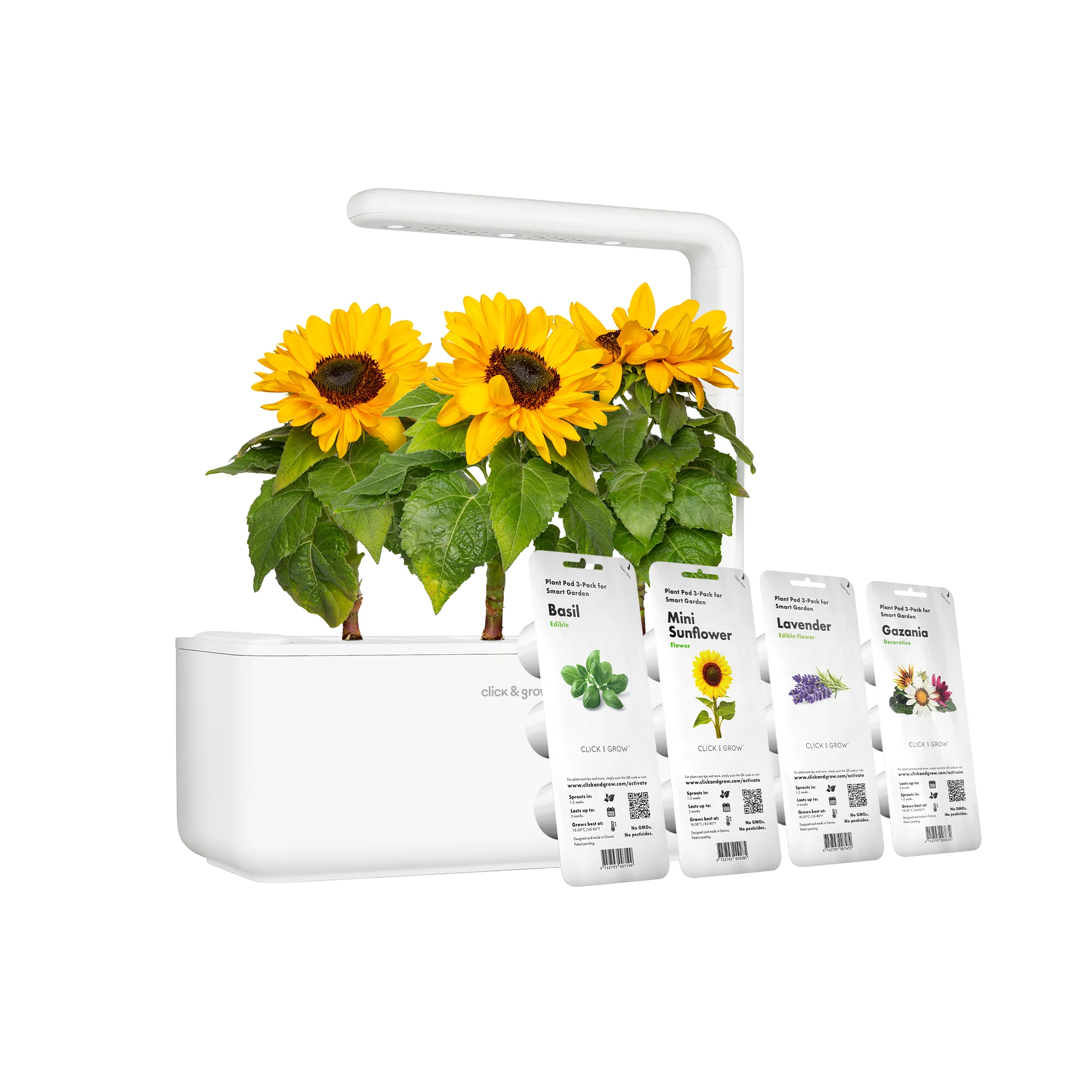 WEB sale products